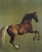 whistlejacket George Stubbs